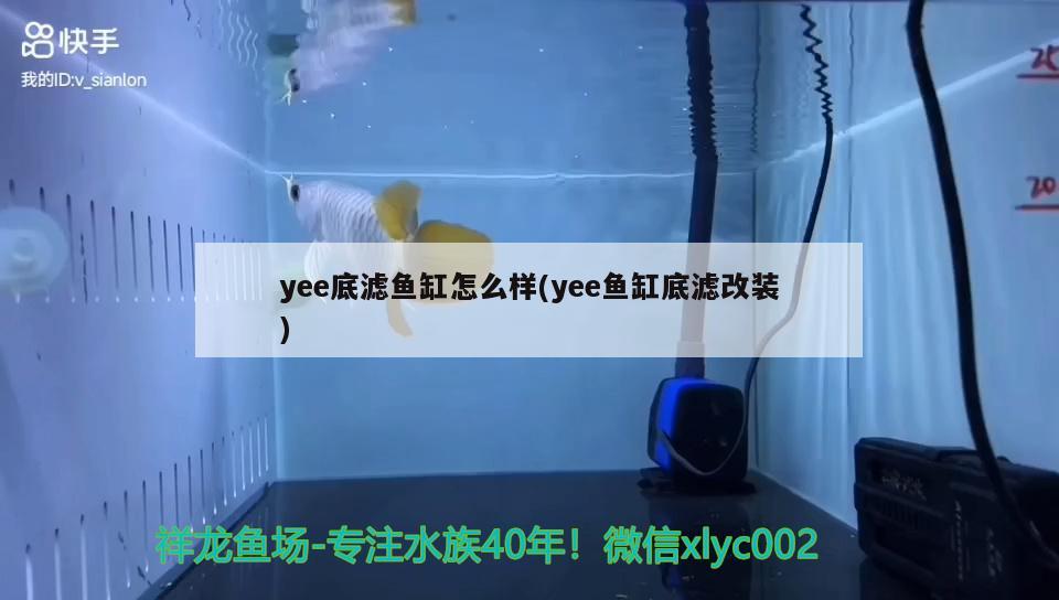 yee底滤鱼缸怎么样(yee鱼缸底滤改装) yee