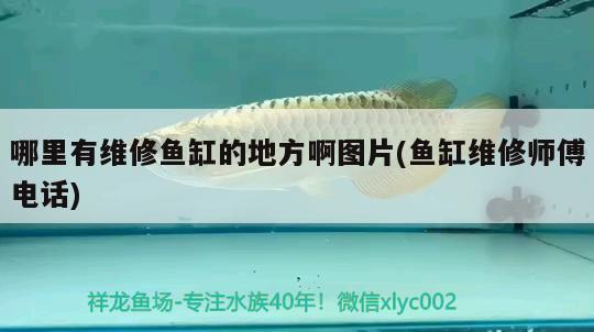 哪里有维修鱼缸的地方啊图片(鱼缸维修师傅电话) 水族品牌