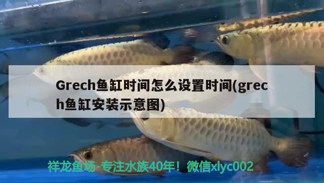 Grech鱼缸时间怎么设置时间(grech鱼缸安装示意图)