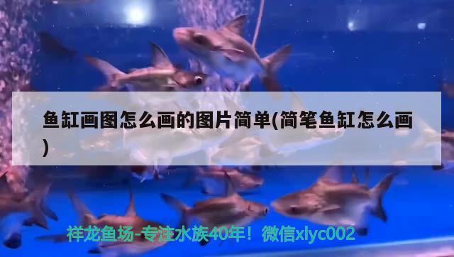 鱼缸画图怎么画的图片简单(简笔鱼缸怎么画)