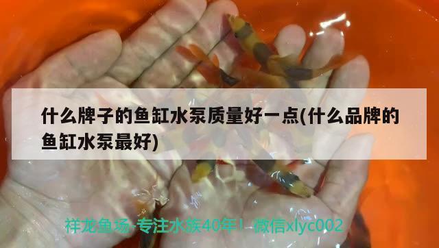 什么牌子的鱼缸水泵质量好一点(什么品牌的鱼缸水泵最好) 鱼缸水泵