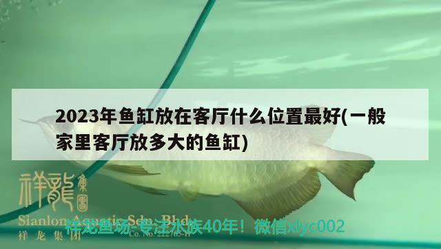 2023年鱼缸放在客厅什么位置最好(一般家里客厅放多大的鱼缸)