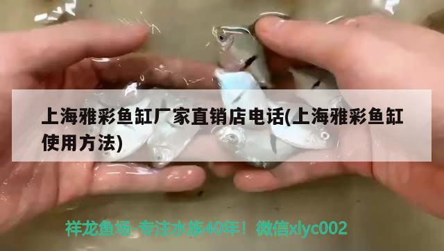 上海雅彩鱼缸厂家直销店电话(上海雅彩鱼缸使用方法)