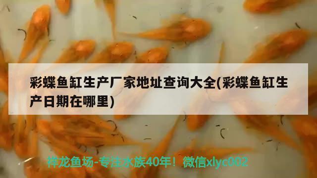 彩蝶鱼缸生产厂家地址查询大全(彩蝶鱼缸生产日期在哪里) 祥龙超血红龙鱼