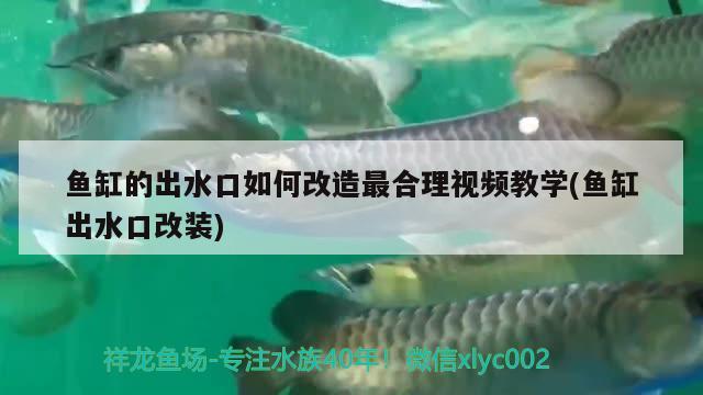 鱼缸的出水口如何改造最合理视频教学(鱼缸出水口改装)