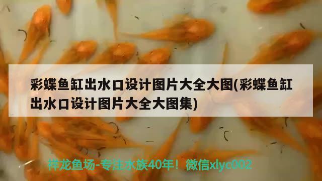 彩蝶鱼缸出水口设计图片大全大图(彩蝶鱼缸出水口设计图片大全大图集) 龙鱼百科 第2张