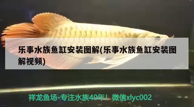 乐事水族鱼缸安装图解(乐事水族鱼缸安装图解视频) 水族维护服务（上门）