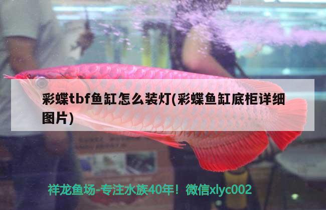 辽源水族批发市场地址电话是多少（辽源水产浴池电话） 养鱼知识 第3张