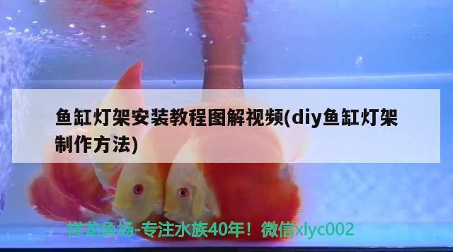 鱼缸灯架安装教程图解视频(diy鱼缸灯架制作方法) 祥龙水族滤材/器材 第3张