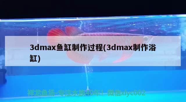 3dmax鱼缸制作过程(3dmax制作浴缸)