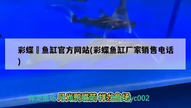 全球顶级水族用品品牌排名前十(德国水族品牌有哪些)