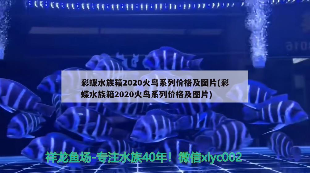 彩蝶水族箱2020火鸟系列价格及图片(彩蝶水族箱2020火鸟系列价格及图片)