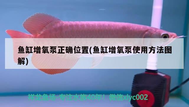 乌鲁木齐首远搬家公司收费高吗，新疆都有什么地方可以捡石头、捡和田玉、金丝玉 养鱼的好处 第1张