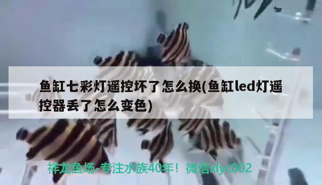 鱼缸七彩灯遥控坏了怎么换(鱼缸led灯遥控器丢了怎么变色) 斑马鸭嘴鱼苗