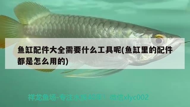 鱼缸实木底柜做法视频：鱼缸实木底柜做法视频教程 广州水族批发市场 第1张