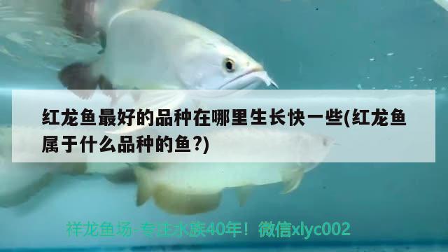 城阳区巨金卉水族店 全国水族馆企业名录 第3张