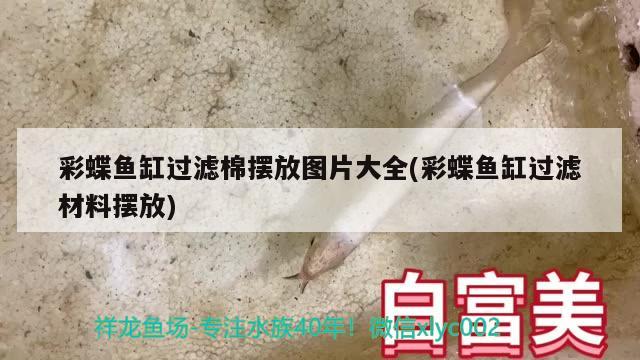 龙鱼翘嘴什么情况下开口最好(翘嘴和龙鱼)