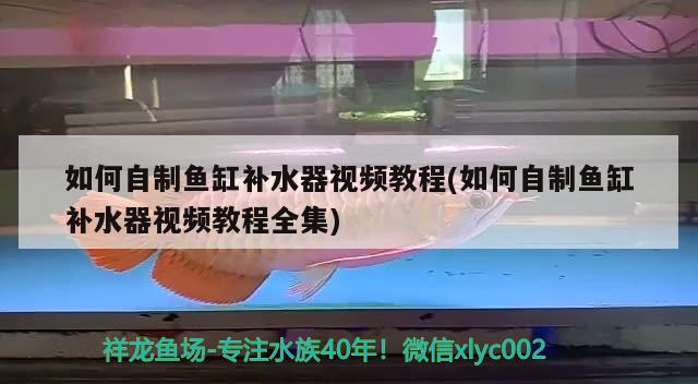 如何自制鱼缸补水器视频教程(如何自制鱼缸补水器视频教程全集)