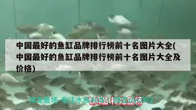 中国最好的鱼缸品牌排行榜前十名图片大全(中国最好的鱼缸品牌排行榜前十名图片大全及价格)