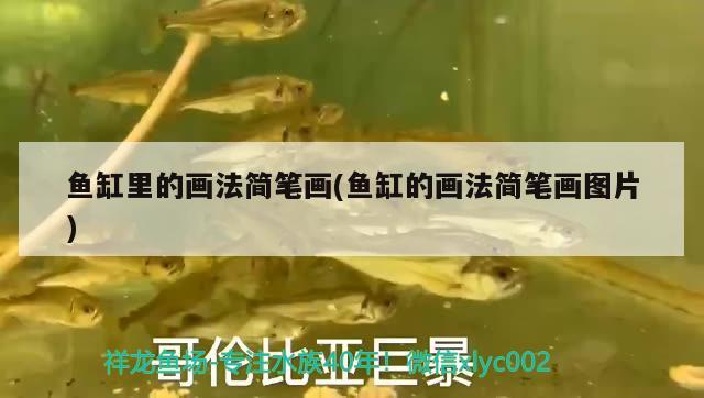 金龙鱼产卵繁殖的奥秘：金龙鱼是产卵还是产子 祥龙水族医院 第2张