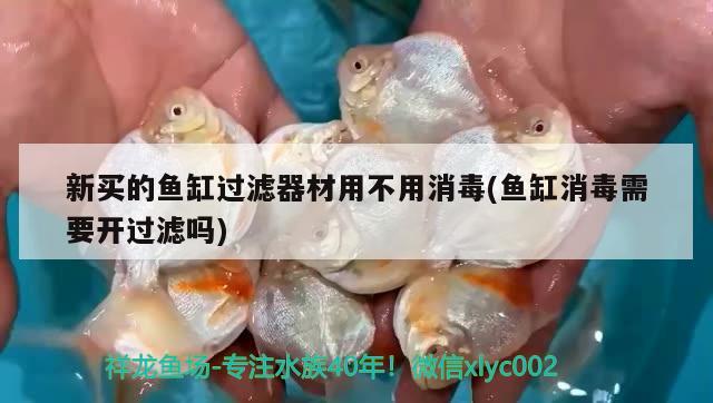 新买的鱼缸过滤器材用不用消毒(鱼缸消毒需要开过滤吗) 一眉道人鱼苗