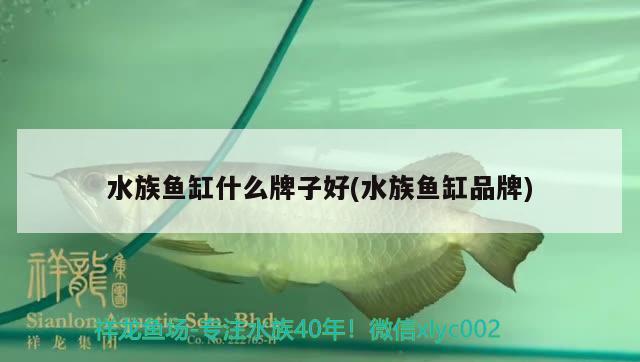 水族鱼缸什么牌子好(水族鱼缸品牌) 撒旦鸭嘴鱼 第2张