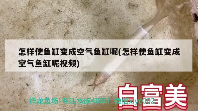 怎样使鱼缸变成空气鱼缸呢(怎样使鱼缸变成空气鱼缸呢视频)