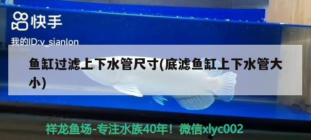 鱼缸过滤上下水管尺寸(底滤鱼缸上下水管大小) 广州水族批发市场