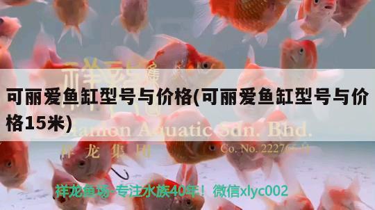 可丽爱鱼缸型号与价格(可丽爱鱼缸型号与价格15米)