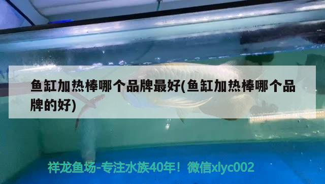 我家在原来平房上又加盖了一层,近日发现2楼墙开裂,具体：西后角楼顶下1米4左右开裂,缝不宽,但里外都裂，想请教下,到底请装饰公司用万象E0的大芯板做柜子好还是去买现成的樟子松的家具,帮帮忙!感谢!