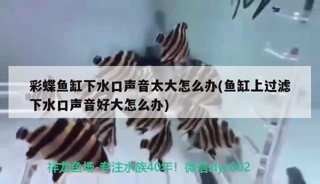 鱼缸水泵电线根部断了怎么办视频讲解鱼缸水泵电线根部断了怎么办，视频讲解鱼缸水泵电线根部断了怎么办 鱼缸水泵 第1张