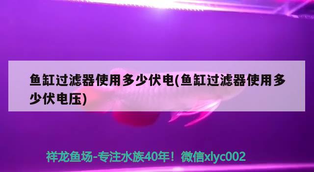 杭州龙鱼市场地址在哪里？详细描述杭州龙鱼市场的交易流程，杭州龙鱼市场地址在哪里杭州龙鱼市场地址在哪里