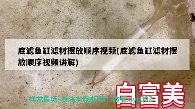 底滤鱼缸滤材摆放顺序视频(底滤鱼缸滤材摆放顺序视频讲解) 青龙鱼