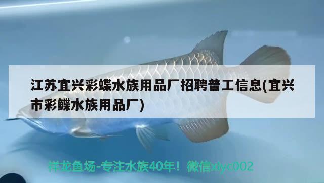 江苏宜兴彩蝶水族用品厂招聘普工信息(宜兴市彩鲽水族用品厂)