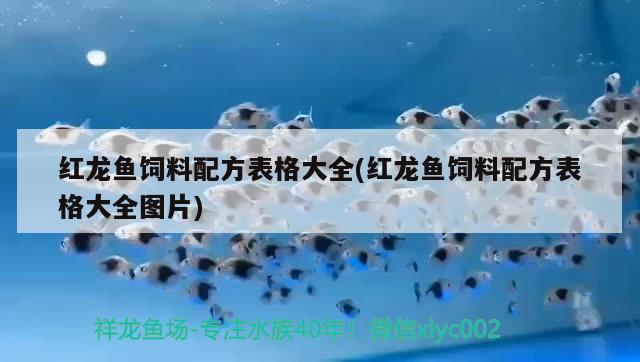 红龙鱼饲料配方表格大全(红龙鱼饲料配方表格大全图片) 过背金龙鱼