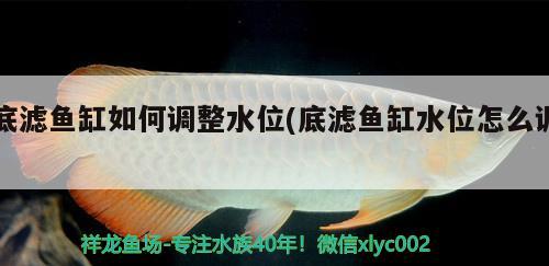 底滤鱼缸如何调整水位(底滤鱼缸水位怎么调)