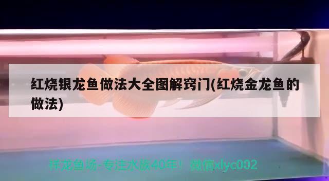 红龙鱼缸底用什么颜色（红龙鱼缸底用什么颜色的灯） 水族灯（鱼缸灯） 第2张