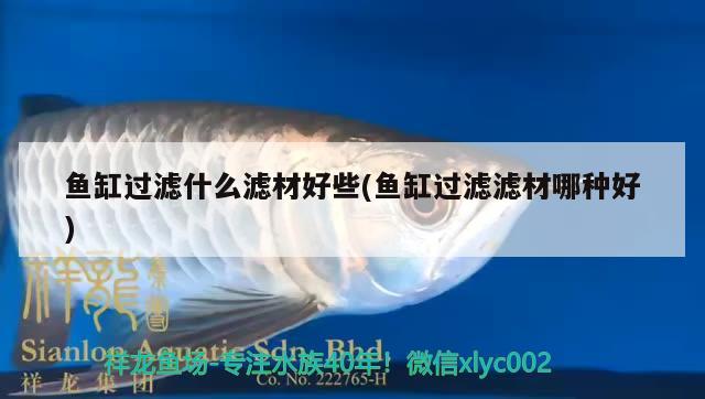 鱼缸过滤什么滤材好些(鱼缸过滤滤材哪种好) 观赏鱼水族批发市场