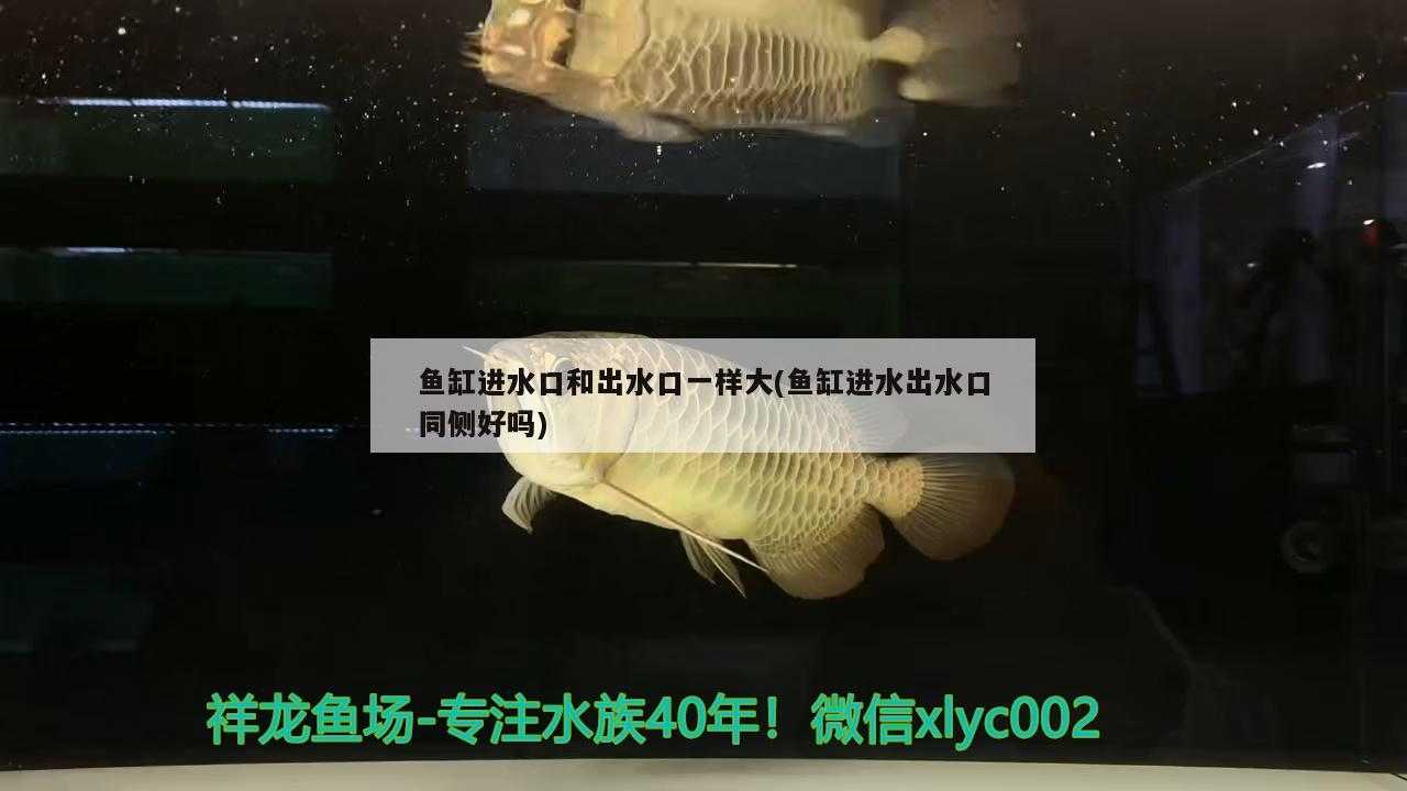 鱼缸进水口和出水口一样大(鱼缸进水出水口同侧好吗)