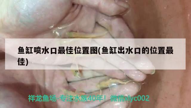 鱼缸喷水口最佳位置图(鱼缸出水口的位置最佳)