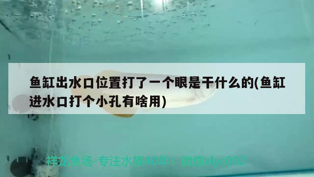 鱼缸出水口位置打了一个眼是干什么的(鱼缸进水口打个小孔有啥用) 细线银版鱼