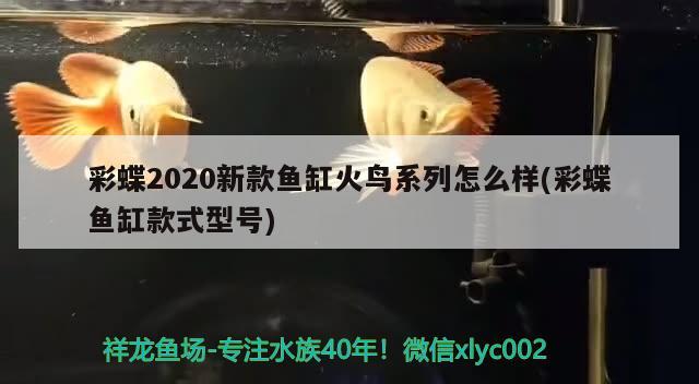 彩蝶2020新款鱼缸火鸟系列怎么样(彩蝶鱼缸款式型号)