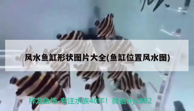 上海雅彩鱼缸配件专卖店地址电话多少(上海雅彩鱼缸安装图视频) 撒旦鸭嘴鱼
