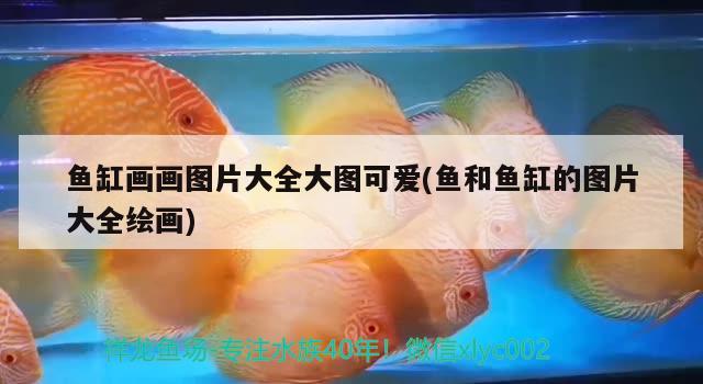 彩蝶鱼缸为什么好臭啊：彩蝶鱼缸好在哪 广州水族批发市场 第2张