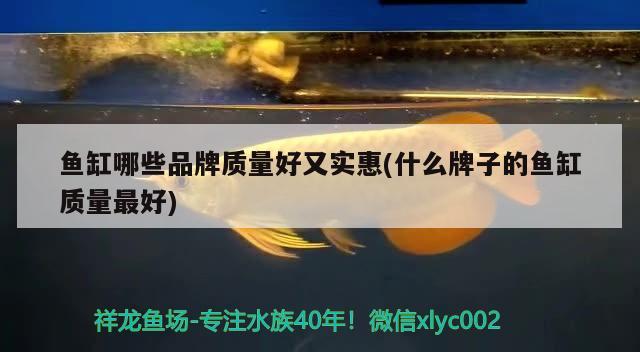 原生态溪流鱼缸加热棒和过滤如何安装(下过滤鱼缸加热棒的正确使用方法) 鱼缸净水剂 第1张