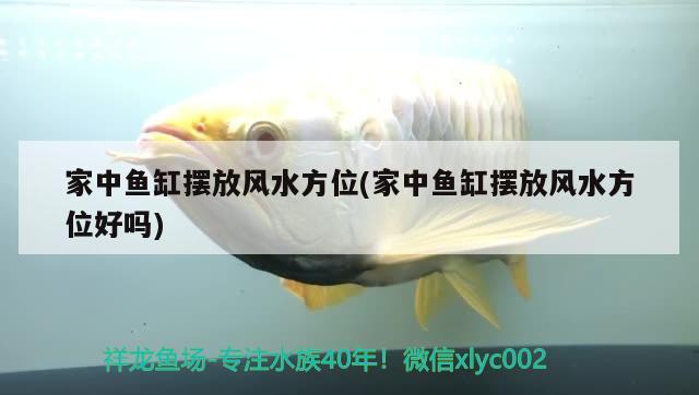 湖州水族维护（浙江湖州最大的养鱼场） 养鱼知识 第3张