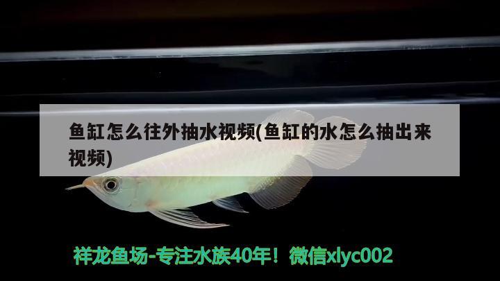 金鱼缸可以用盐水消毒吗，金鱼缸里面可以放盐吗 养鱼的好处 第2张