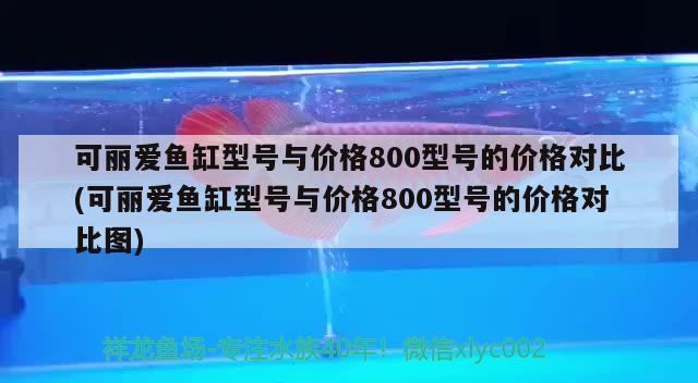 可丽爱鱼缸型号与价格800型号的价格对比(可丽爱鱼缸型号与价格800型号的价格对比图) 祥龙赫舞红龙鱼