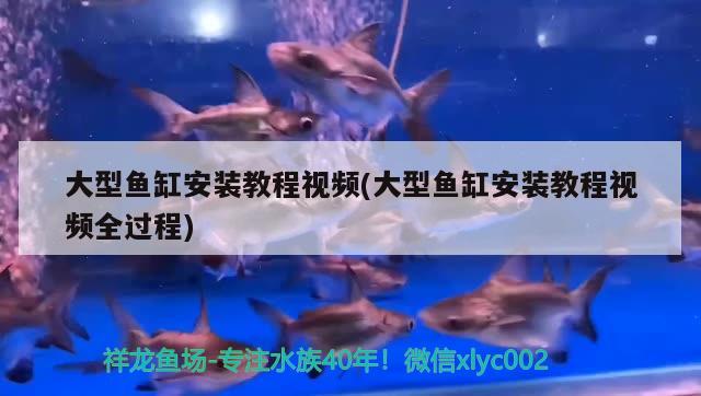 鱼缸的溢流方式有哪几种(鱼缸的溢流方式有哪几种类型) 其它水族用具设备