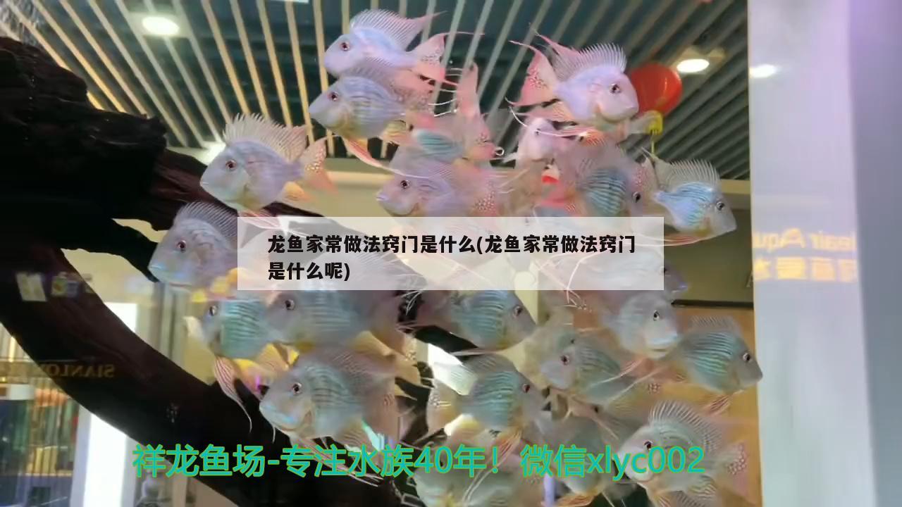 龙鱼家常做法窍门是什么(龙鱼家常做法窍门是什么呢)